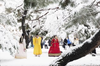 Coreia do Sul enfrenta nevasca intensa que já causou cinco mortes