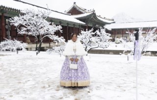 Coreia do Sul enfrenta nevasca intensa que já causou cinco mortes
