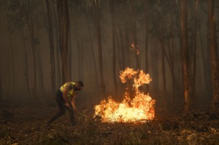 Bombeiros lutam contra incêndio em área de mata na Nazaré com mais de 100 operacionais