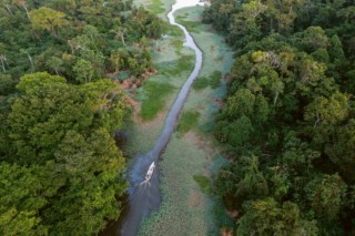 Expedição Amazônica: Thomas Peschak e Meio Milhão de Fotografias da Biodiversidade
