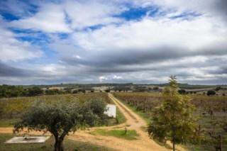 A Herdade do Cebolal: A revolução do vinho através da sustentabilidade e do mar