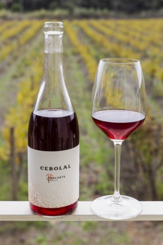 A Herdade do Cebolal: A revolução do vinho através da sustentabilidade e do mar