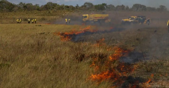 Projeto de Lei de Reciprocidade Ambiental é Resposta à Lei Antidesmatamento da União Europeia