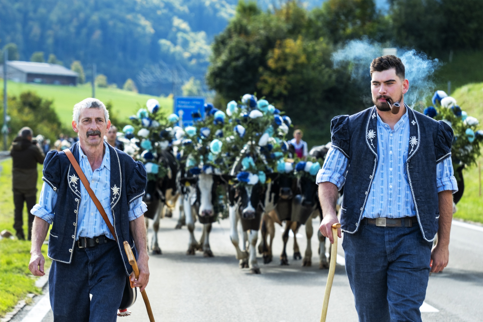 Désalpe: A Tradição Suíça que Celebra o Retorno das Vacas para o Vale
