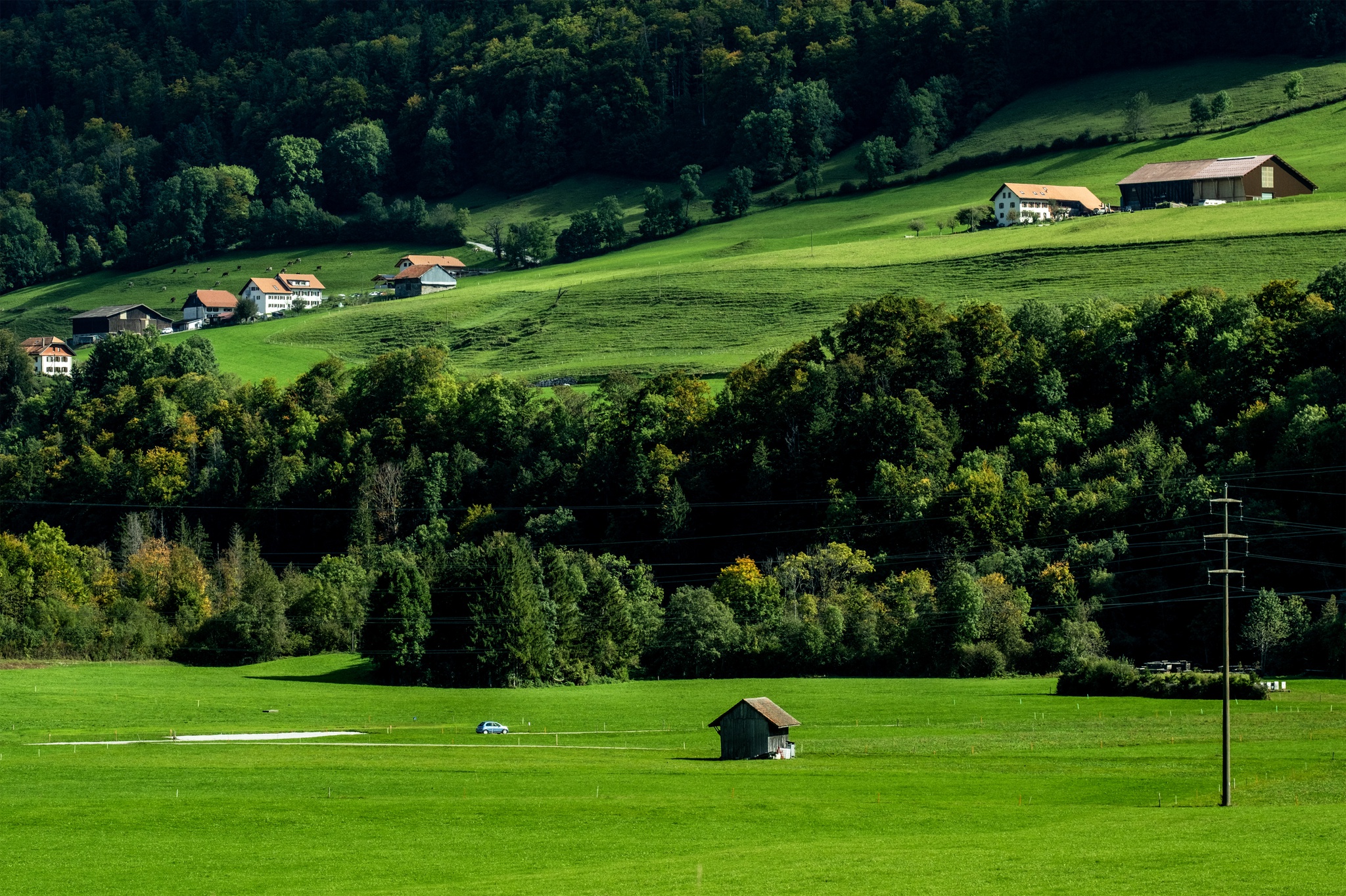 Désalpe: A Tradição Suíça que Celebra o Retorno das Vacas para o Vale