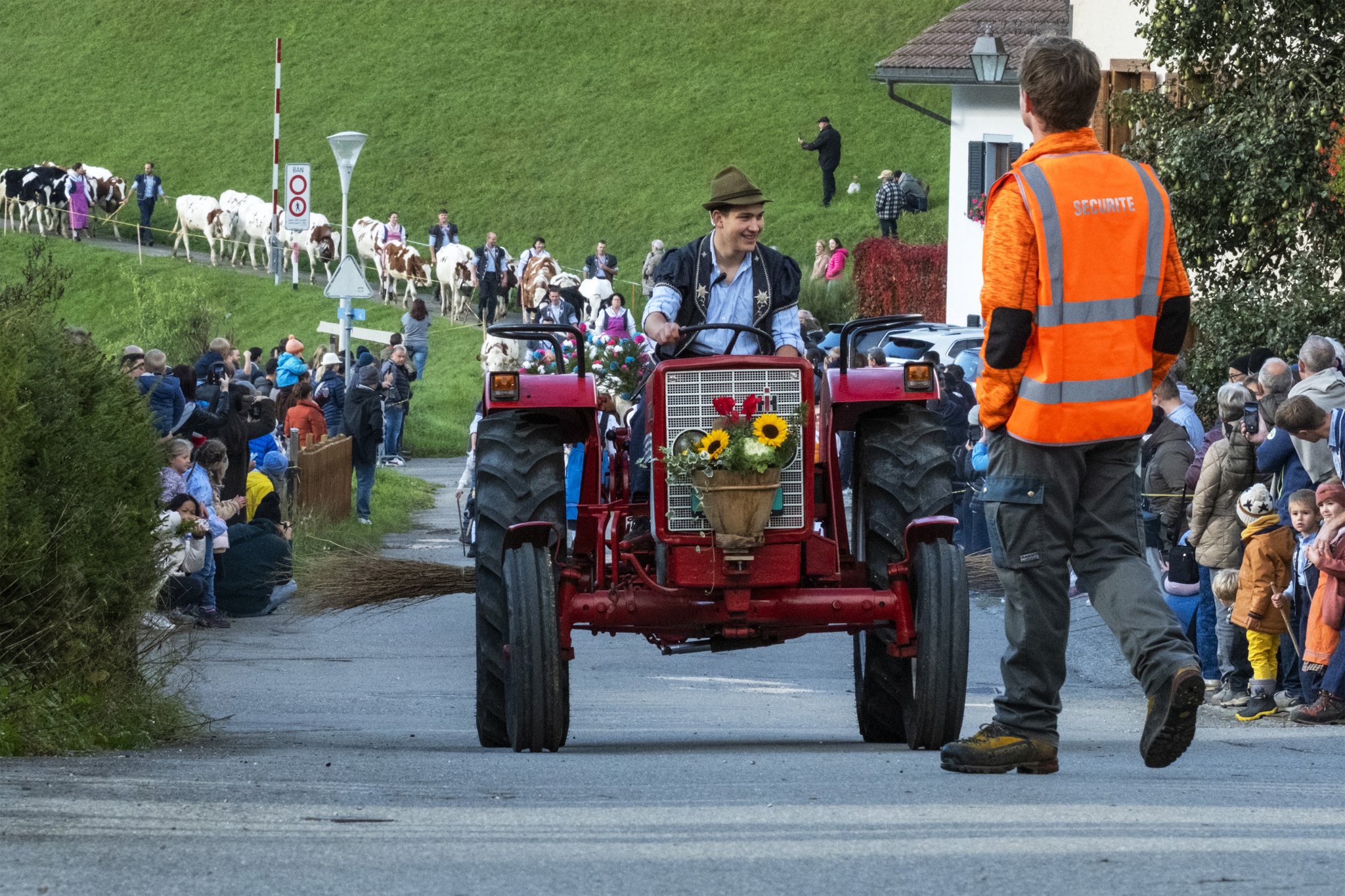 Désalpe: A Tradição Suíça que Celebra o Retorno das Vacas para o Vale