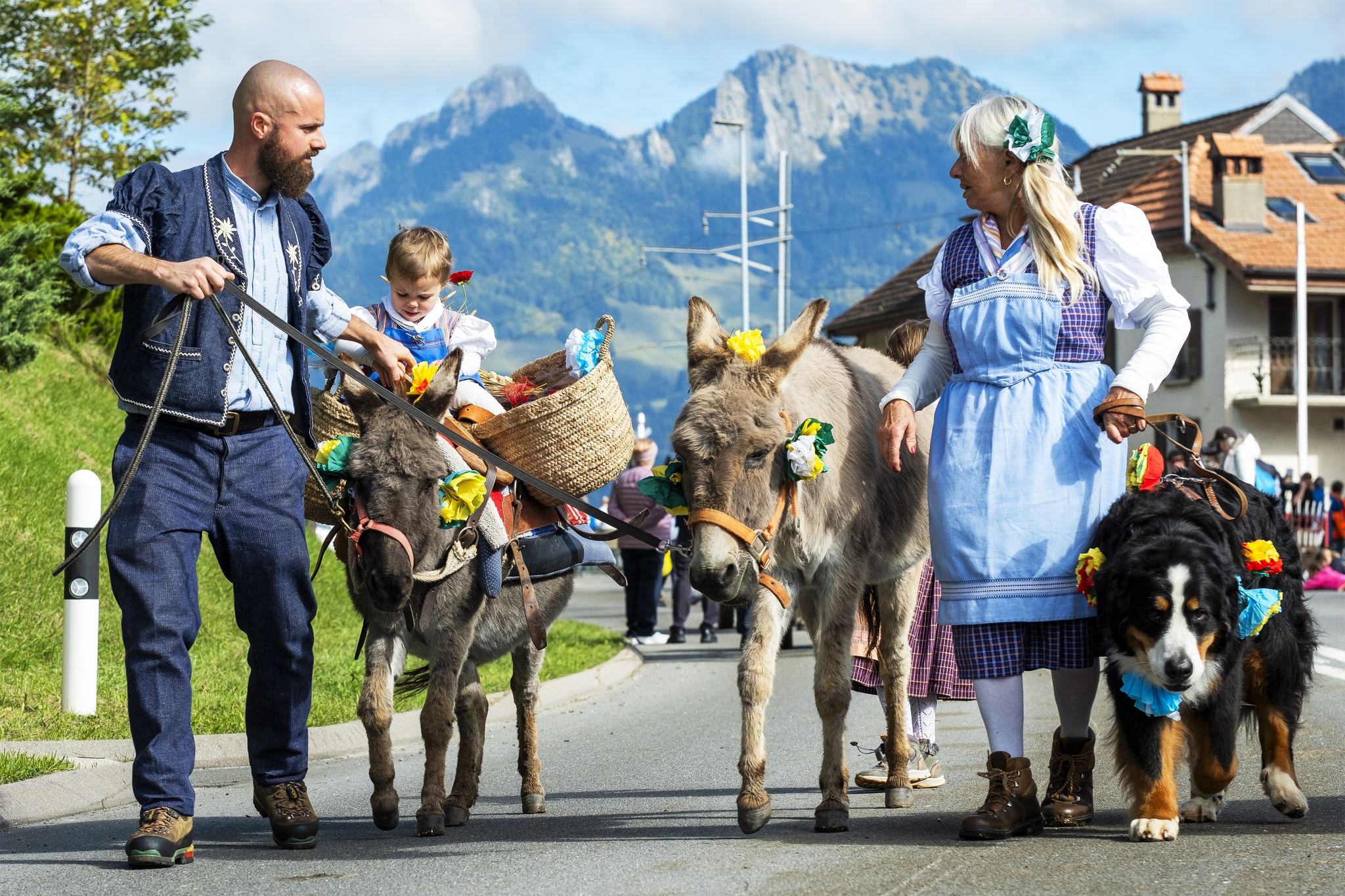 Désalpe: A Tradição Suíça que Celebra o Retorno das Vacas para o Vale