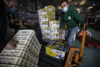 Banco Alimentar coleta mais de 2.213 toneladas para ajudar 380 mil pessoas