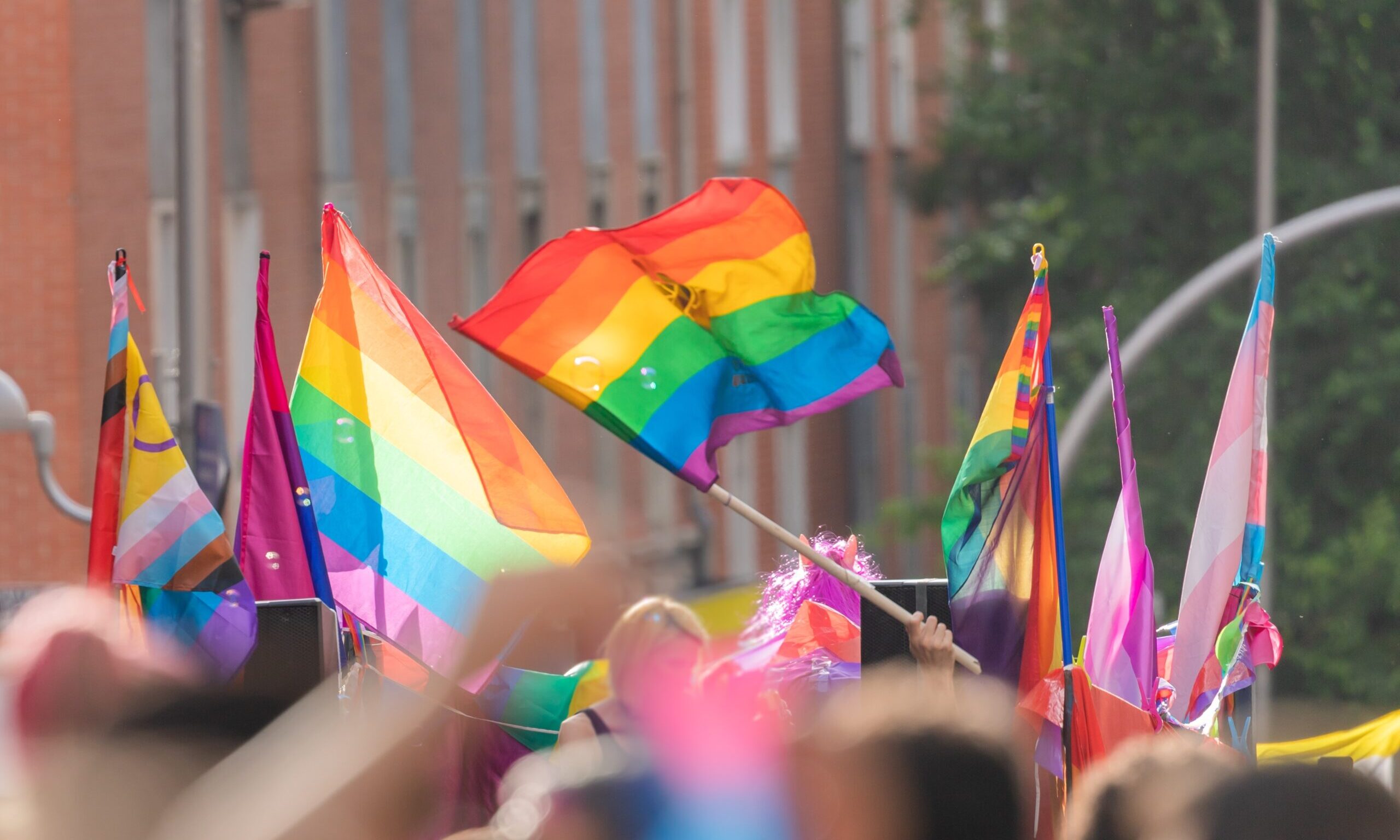 TST Confirma Indenização a Funcionária Trans por Discriminação em Frigorífico