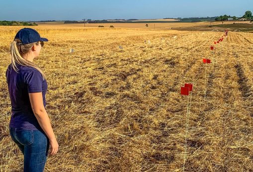 A urgência da preservação do solo: pilar da vida e segurança alimentar no planeta