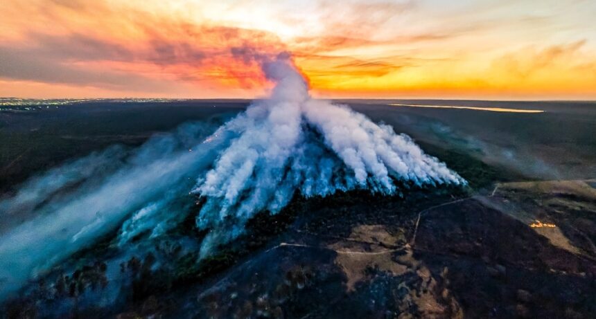 Queimadas no Brasil em 2024: Aumento alarmante e desafios ambientais