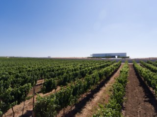 Descubra o Luxo do Alentejo na Quinta do Paral - Uma Experiência Única