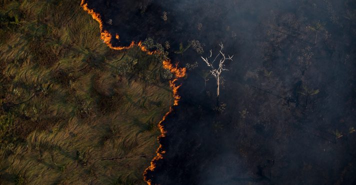 Crescimento alarmante da degradação florestal de 497% na Amazônia em 2024