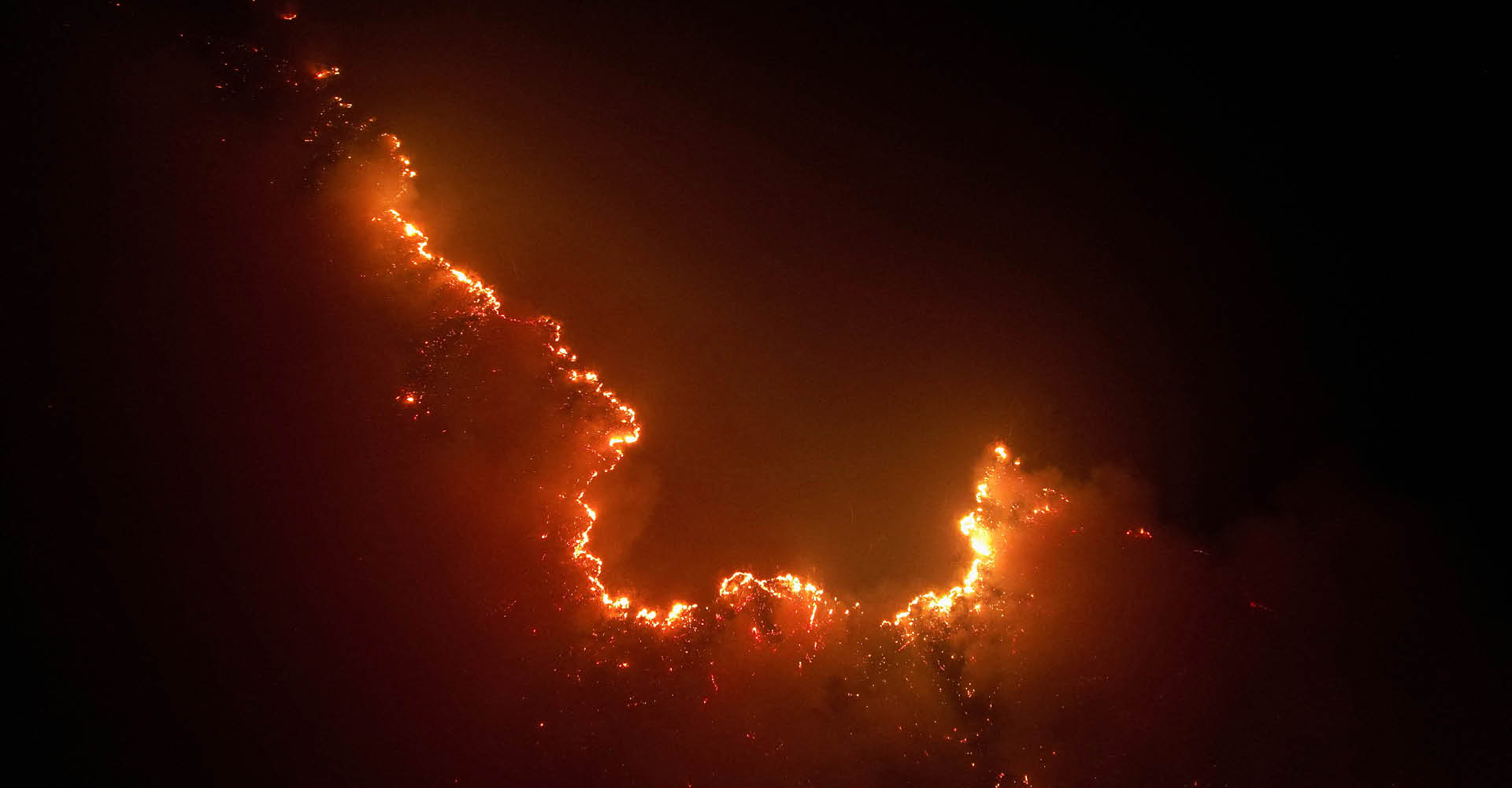 Crescimento alarmante da degradação florestal de 497% na Amazônia em 2024