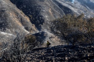 Incêndios em Los Angeles: 25 mortos e devastação maior que Lisboa