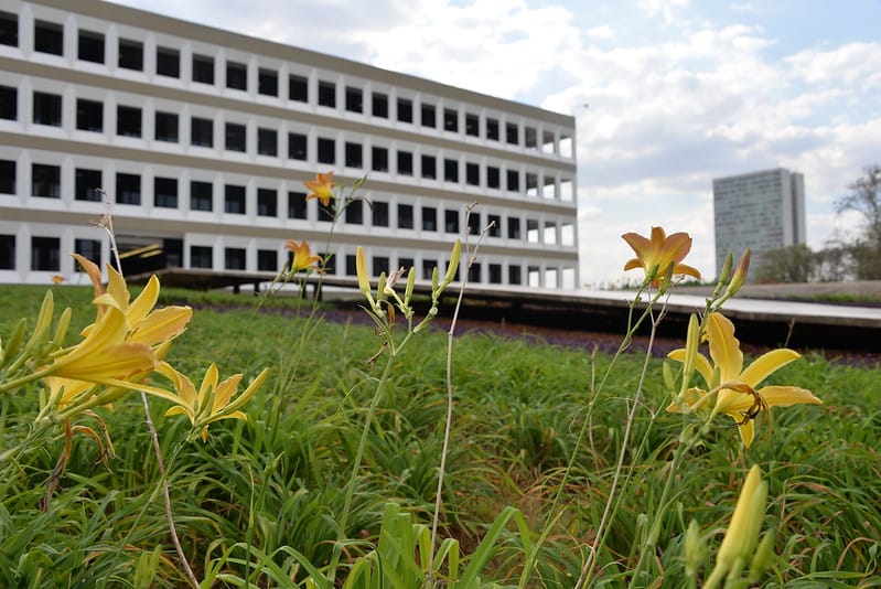 Investigação sobre pagamentos acima do teto a magistrados pelo TCU