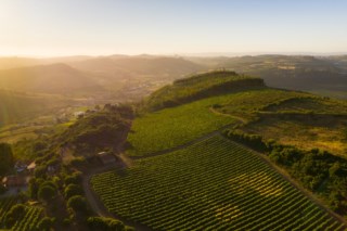 Monte Bluna: o renascimento dos vinhos de Arruda dos Vinhos com foco no terroir