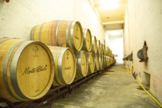 Monte Bluna: o renascimento dos vinhos de Arruda dos Vinhos com foco no terroir