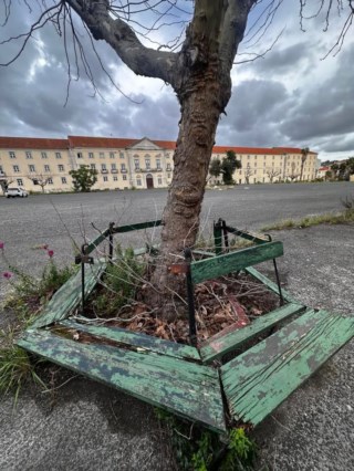 Veteranos Lanceiros Pedem Intervenção Urgente ao Ministério da Defesa para Salvar Antigas Instalações em Lisboa