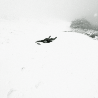 Stanley Schtinter ressignifica Branca de Neve em nova versão extraordinária