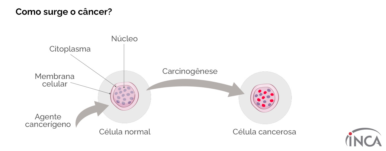Descobrindo os Mecanismos do Câncer: Mutações, Poluição e Tratamentos Eficazes