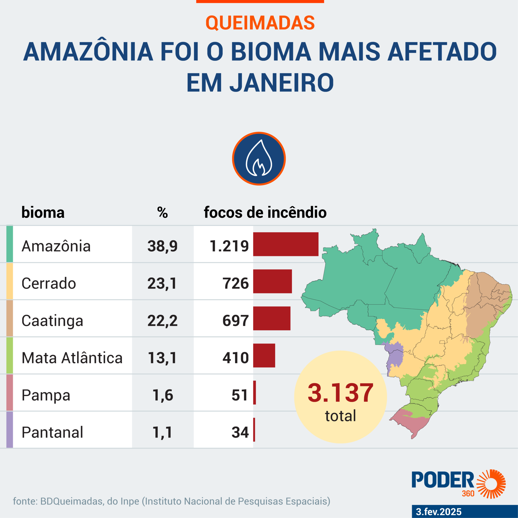 Incêndios no Brasil em Janeiro de 2025: Um Alerta Ambiental Com 3.137 Focos em Todo o País