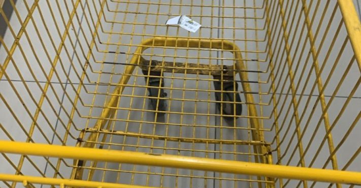 IPCA-15 em Março: Alta de 0,64% Impacta Economia e Poder de Compra no Brasil