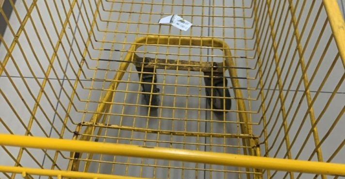 IPCA-15 em Março: Alta de 0,64% Impacta Economia e Poder de Compra no Brasil