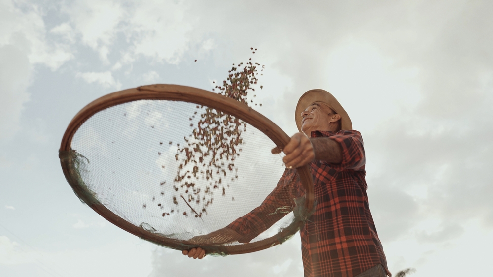 A Crise da Insegurança Alimentar no Brasil: Fome e Dependência do Bolsa Família em Debate