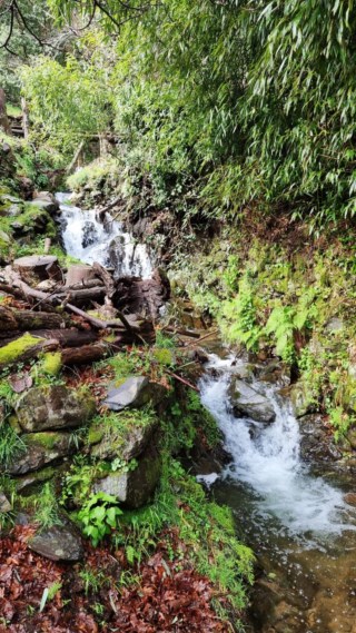 Cerdeira: O refúgio perfeito para se desconectar e cultivar a criatividade na Serra da Lousã