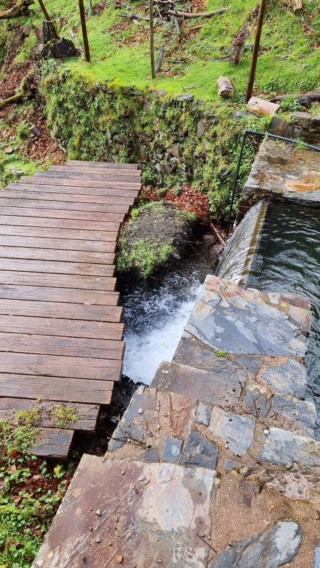 Cerdeira: O refúgio perfeito para se desconectar e cultivar a criatividade na Serra da Lousã