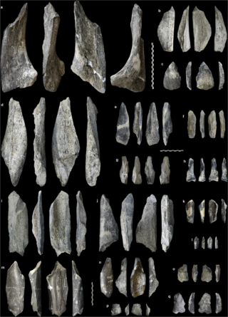 Descoberta de ferramentas de osso na Tanzânia prova inovação de antepassados humanos