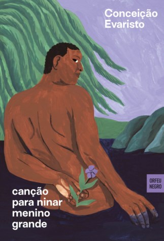 Conceição Evaristo no Encontro de Leituras: Uma abordagem de gênero e diversidade na literatura