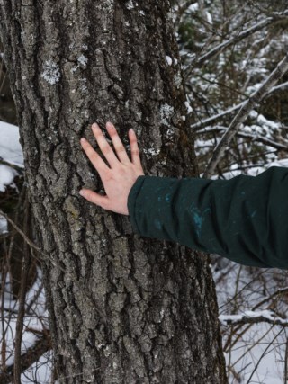 O sonho de Ryleigh: ser mãe em meio à incerteza política e a demissão sob Trump