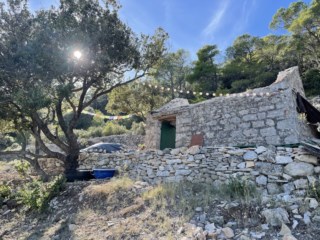 Escola na Croácia desafia o neoliberalismo e busca recriar a sociedade em Lisboa