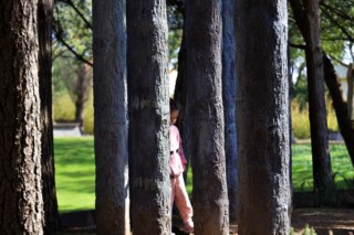 O Templo da Biblioteca: Uma Reflexão Sobre Conhecimento e Poesia