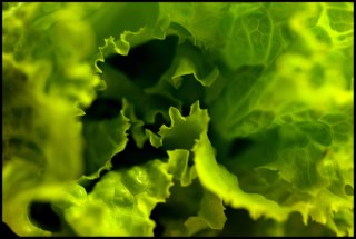 Redescobrindo o Prazer de Temperar Saladas: Uma Reflexão de Miguel Esteves Cardoso