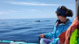 A luta de Cláudia Erber pela proteção das baleias e golfinhos no Tejo