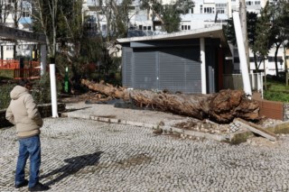 Mau tempo em Lisboa causa feridos e quedas de árvores, mas autoridades respondem rápido