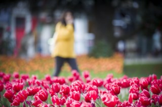 Mudanças Climáticas em Portugal: A Primavera Ainda Não Está Perdida