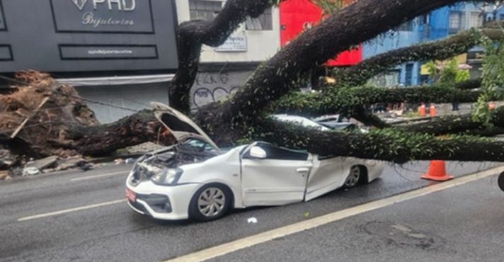 Temporal em São Paulo deixa um morto e 127 mil sem energia; veja as consequências da chuva