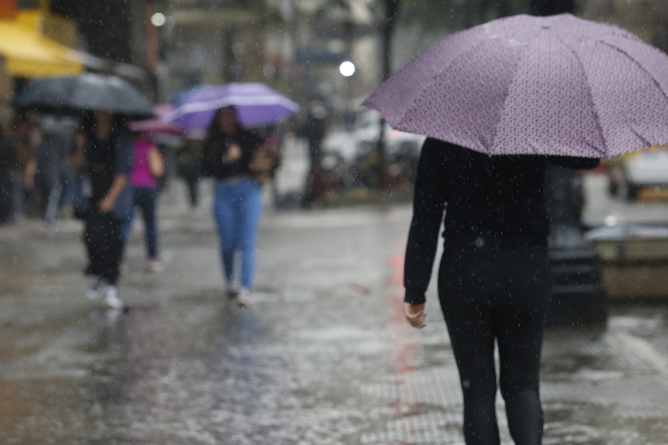 Alerta de chuvas intensas marca o início da semana no Brasil