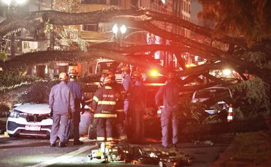 Temporal no Rio de Janeiro provoca alagamentos e queda de árvores, deixando a cidade em alerta
