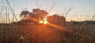 Alentejo Litoral apresenta plano ambicioso para enfrentar alterações climáticas