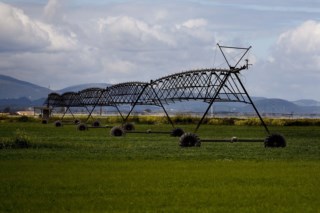 Médio Tejo se mobiliza contra açude em Constância: ambientalistas e autarcas pedem alternativas