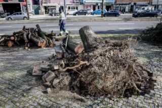Mau tempo causa caos na Grande Lisboa com mais de seis mil ocorrências e várias estradas cortadas