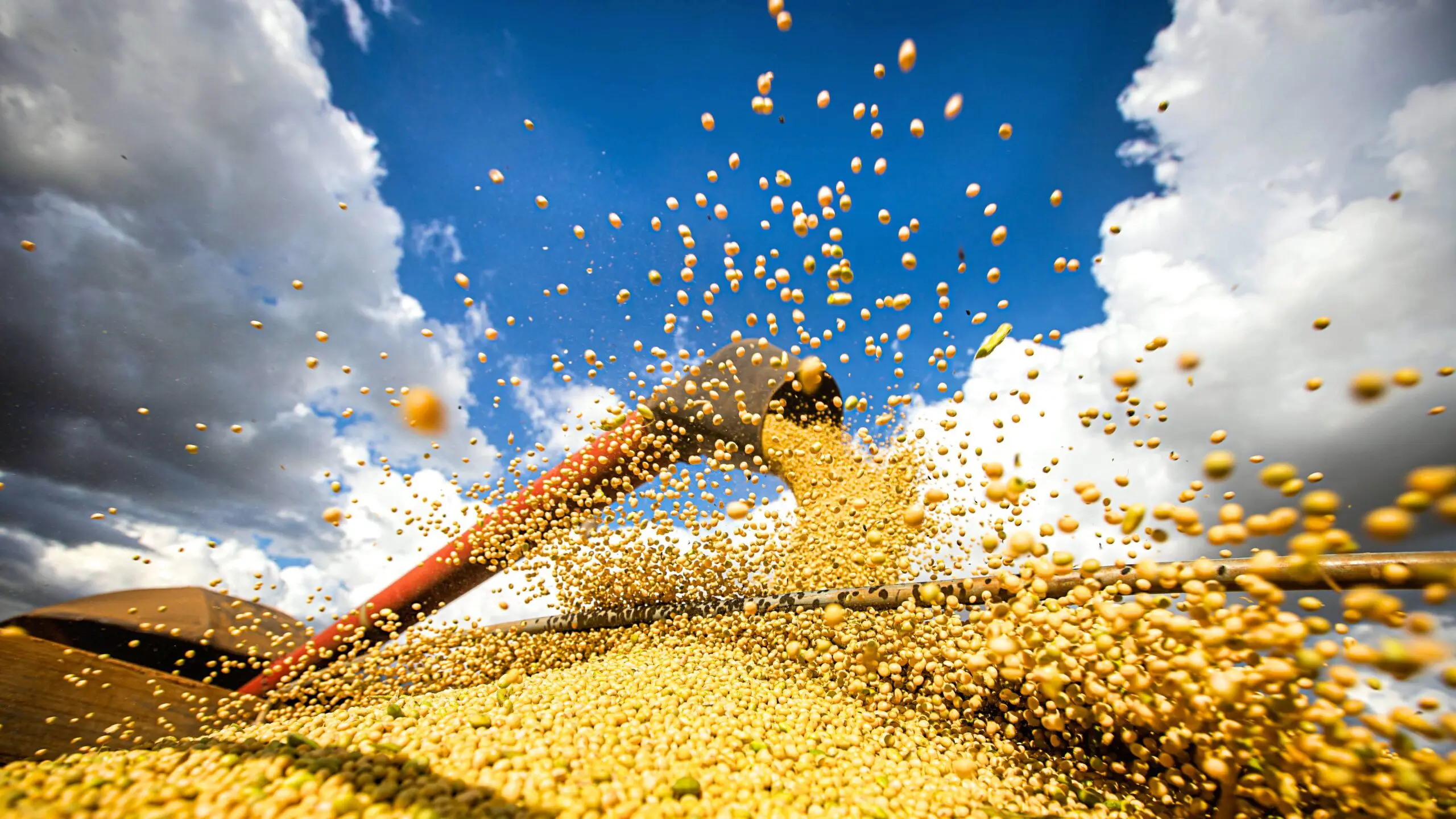 Expectativa de Aumento na Recuperação Judicial das Empresas em 2025 Impõe Desafios ao Agronegócio e Mercado