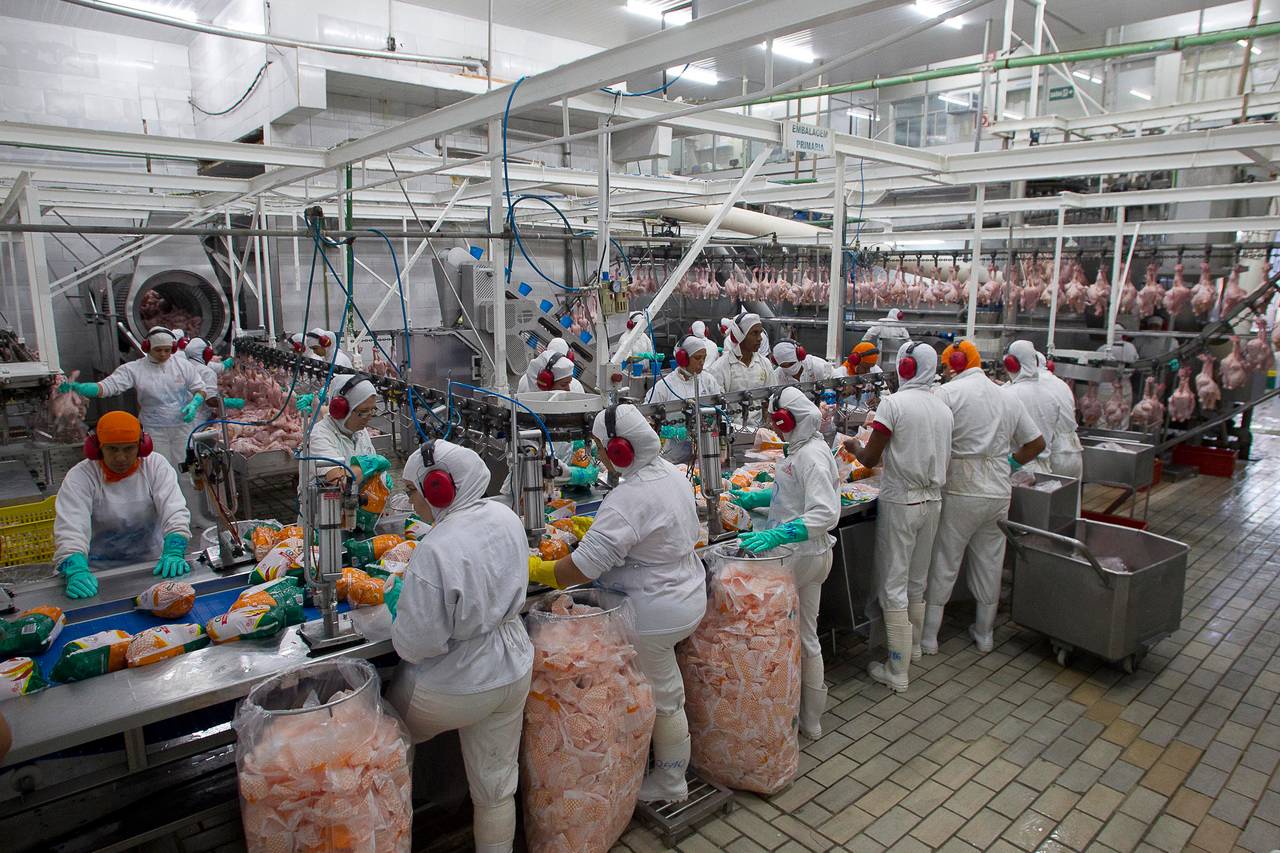 Tarifas de Trump impulsionam exportações de carnes e ovos do Brasil