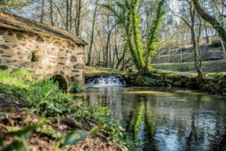 Câmara de Santa Maria da Feira Lança Programa de Apoio à Conservação do Patrimônio Cultural