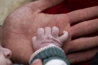 Petição busca alargamento da licença parental para 180 dias com 8000 assinaturas em um dia